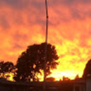 Meet your Posher, Lucy